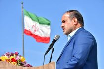 درختان نقش مهمی در سلامت جامعه دارند