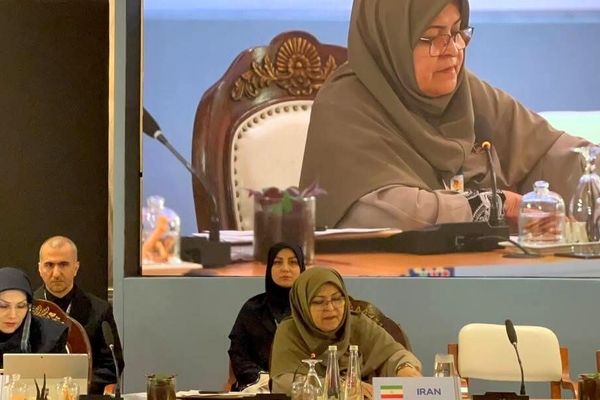 رئیس سازمان استاندارد ایران بر توسعه همکاری‌های بریکس تاکید کرد