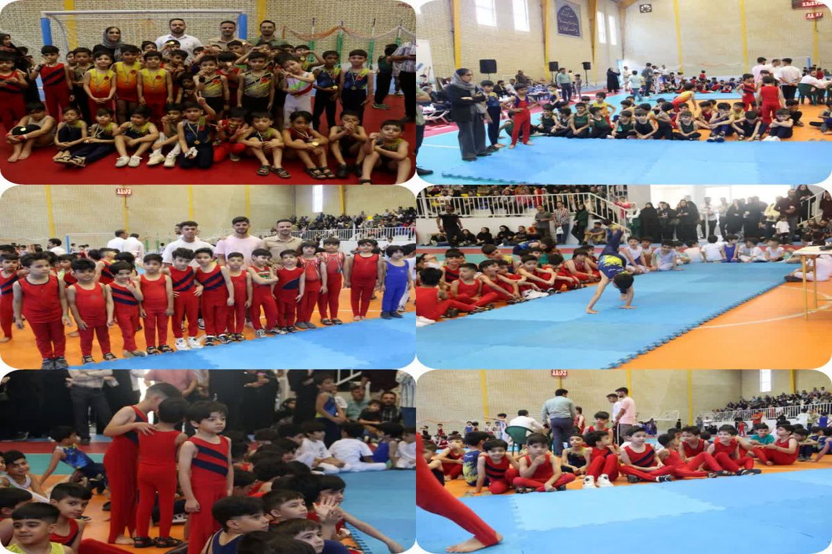 جشنواره ژیمناستیک