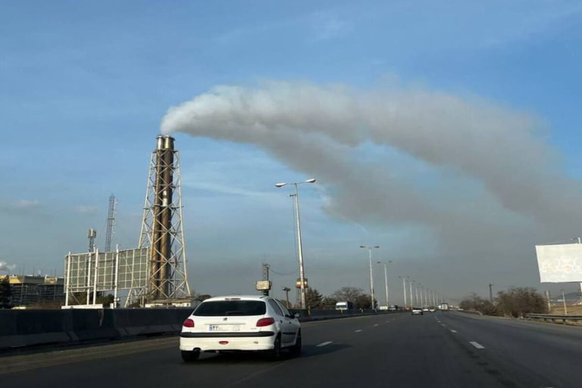 مازوت سوزی
