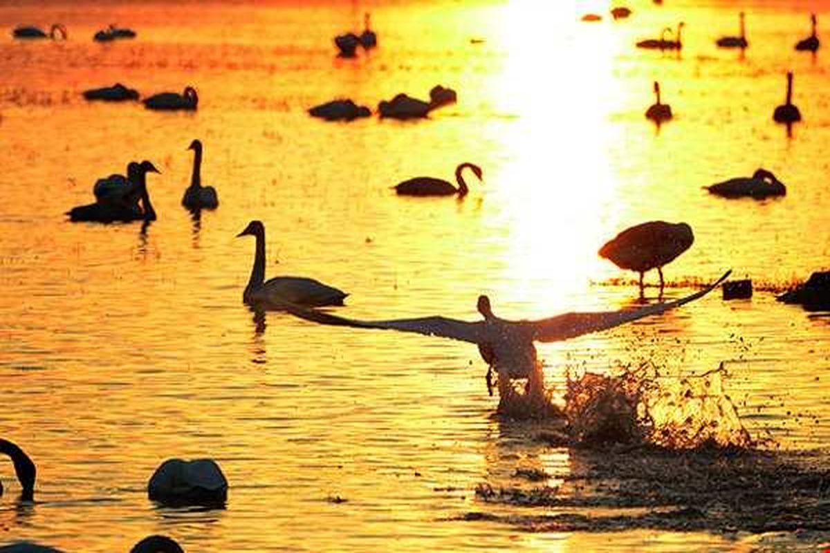 تالاب سرخرود2