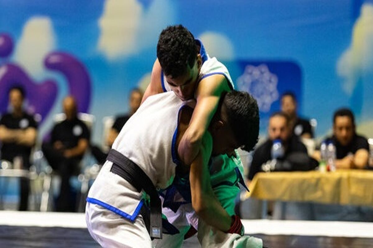 ورزش رزمی