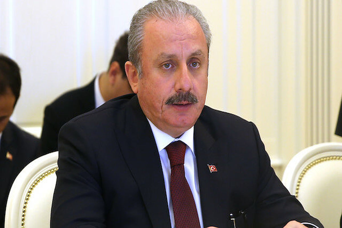 رئیس مجلس ترکیه