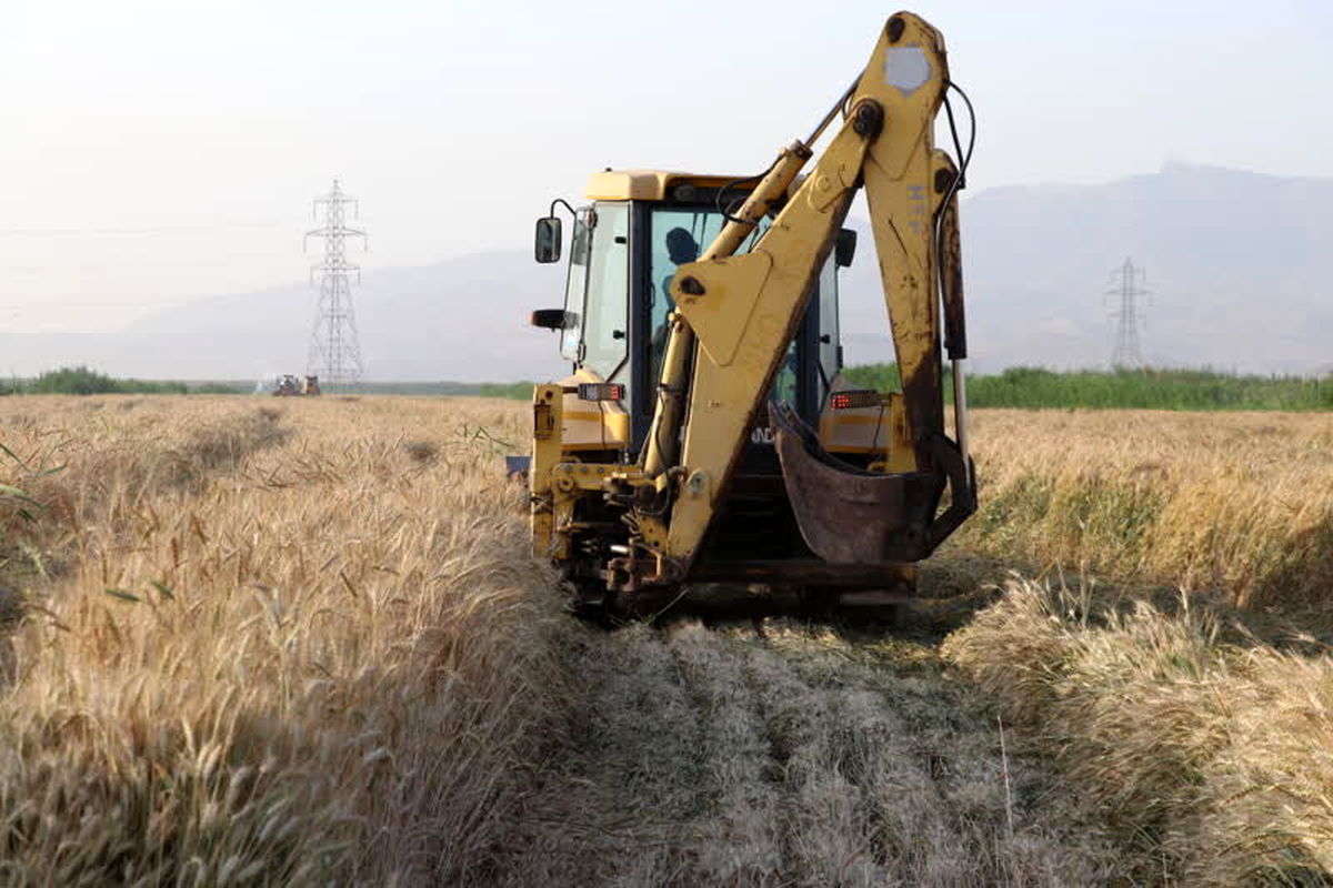 مزارع آلوده