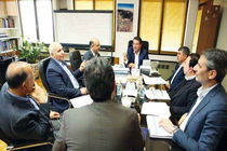 حفظ سطح تولید، تکمیل ظرفیت‌های خالی و تولید محصولات جدید