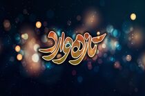 سریال تازه وارد به زودی جایگزین «حکم رشد» می‌شود