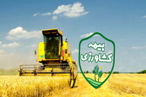 تأخیر پرداخت غرامت و پایین بودن تعهد بیمه به کشاورزان فریمانی