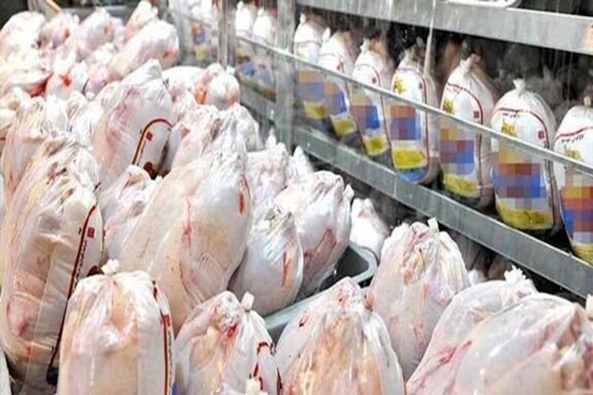 توزیع مرغ  و گوشت منجمد در خراسان رضوی