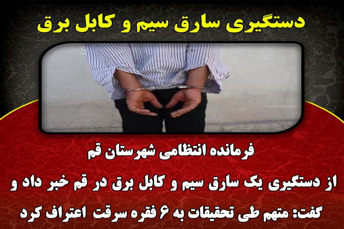 دستگیری سارق