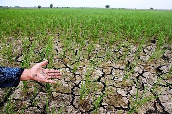 ۵۸ شهر کشور دچار تنش آبی است