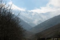 منابع طبیعی شهر و شهرستان همدان قربانی پنهانکاری مسوولان