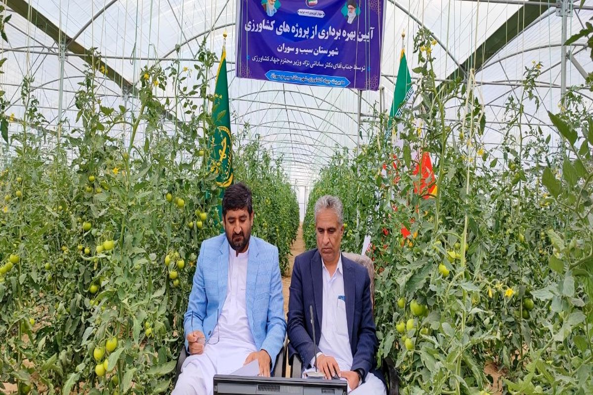 جهاد کشلورزی