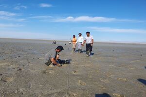 کاشت 30هزار اصله نهال حرا در سطح تالاب های میناب