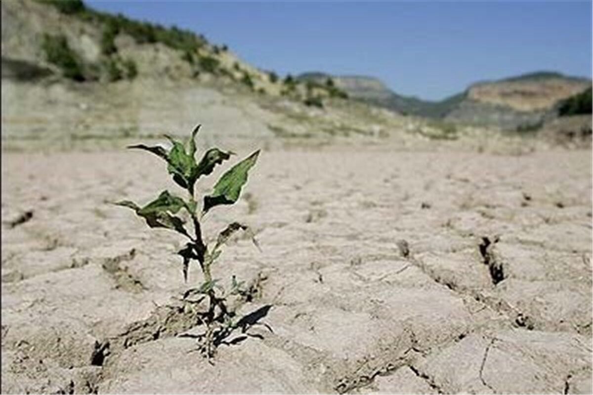 تنش آبی