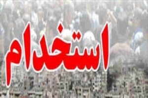استخدام ۱۲۷ نفر در دانشکده علوم پزشکی آبادان