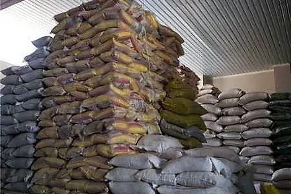 واردات برنج در فصل برداشت شالی ممنوع