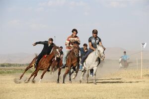  ۵۰۰ میلیارد ریال برای احداث شهرک اسب سواری شوش تخصیص شد