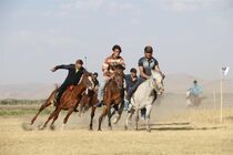  ۵۰۰ میلیارد ریال برای احداث شهرک اسب سواری شوش تخصیص شد