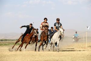 روز دوم از هفته هفتم مسابقات اسبدوانی بهاره گنبدکاووس برگزار شد