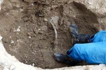 کشف انشعاب غیر مجاز در گلپایگان