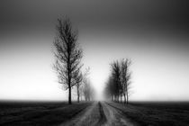 عکس‌های سیاه و سفید خود را رنگ آمیزی کنید