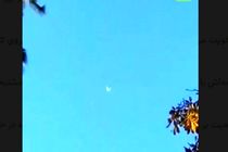 سقوط هواپیما در میشیگان آمریکا سه کشته بر جای گذاشت