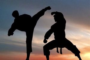 رئیس فدراسیون انجمن‌های ورزش‌های رزمی انتخاب شد