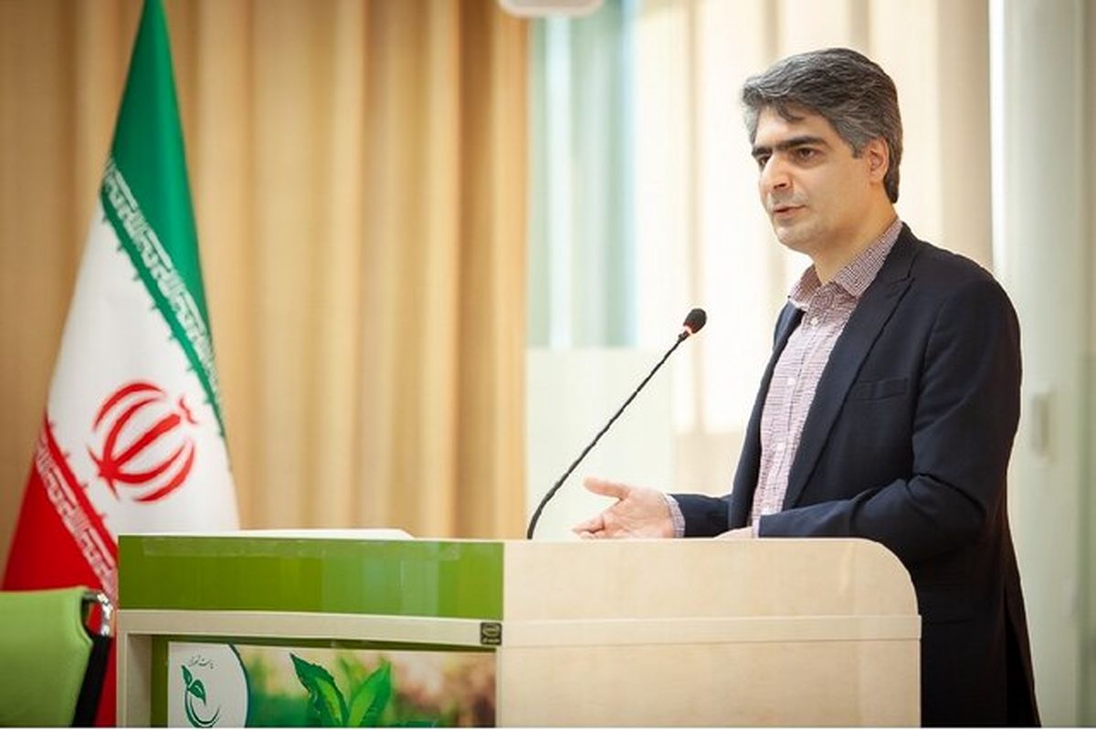 سیاوش ملکی‌فر معاون توسعه صندوق نوآوری و شکوفایی