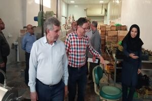 تقویت امنیت غذایی و رونق کشاورزی گرمسیری در دستورکار معاونت اقتصادی استانداری
