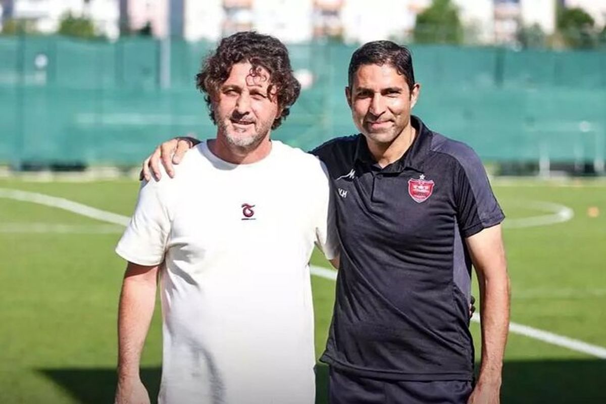 وحید هاشمیان