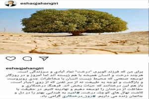 فرهنگ درختکاری و حفاظت از درختان را توسعه دهیم