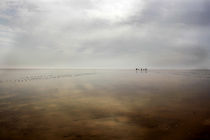 ورود آب به تالاب جازموریان پس از 20 سال