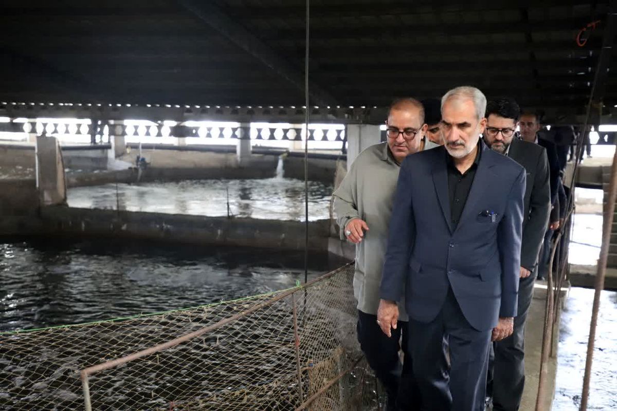 استاندار مازندران 