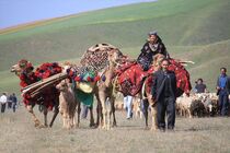 آغاز کوچ پاییزه عشایر عرب به مناطق قشلاقی در اصفهان