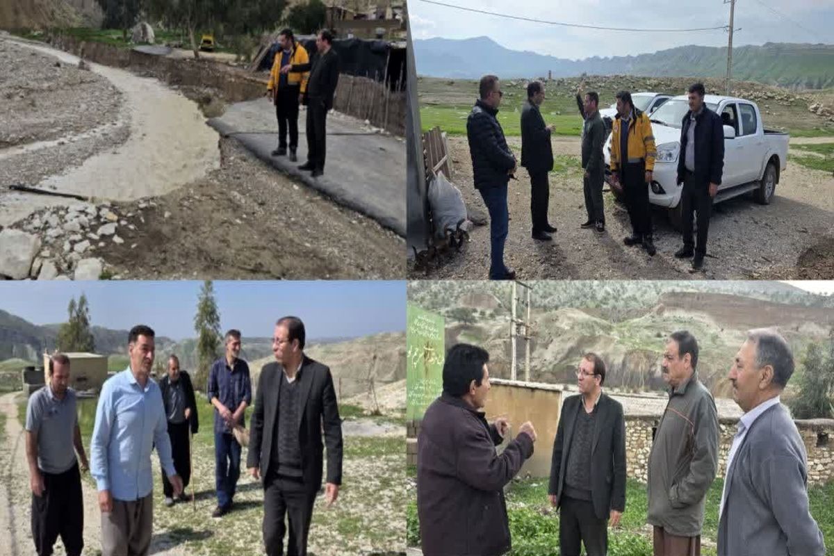 بازدید