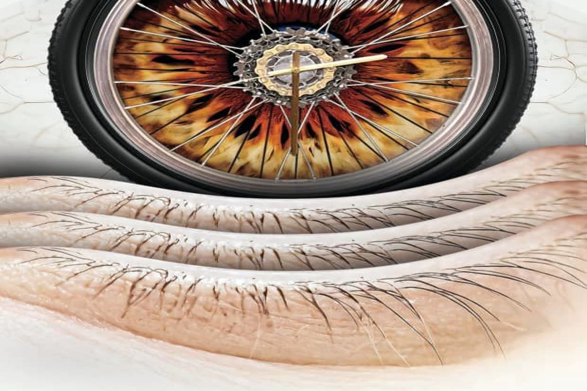 نمایش خیال خیس 