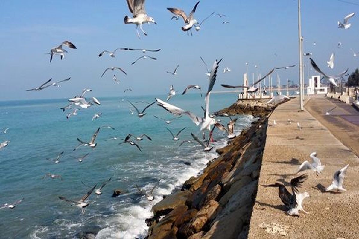 دریای آرام