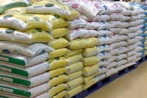توزیع ۲۰۰ تن برنج تنظیم بازار در مشهد