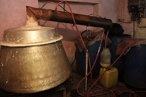 مشروب دست ساز در بندرعباس قربانی گرفت