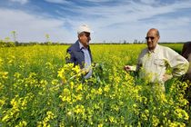 تغییر الگوی کشت اقدامی موثر در مدیریت منابع آبی 