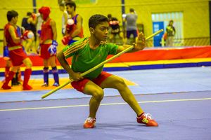 ووشوکاران هرمزگانی اردونشین باقی ماندند