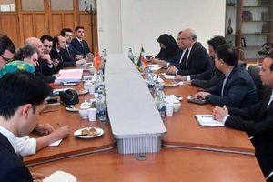 نشست مدیران کل وزارت خارجه‌های ایران و ترکیه برگزار شد