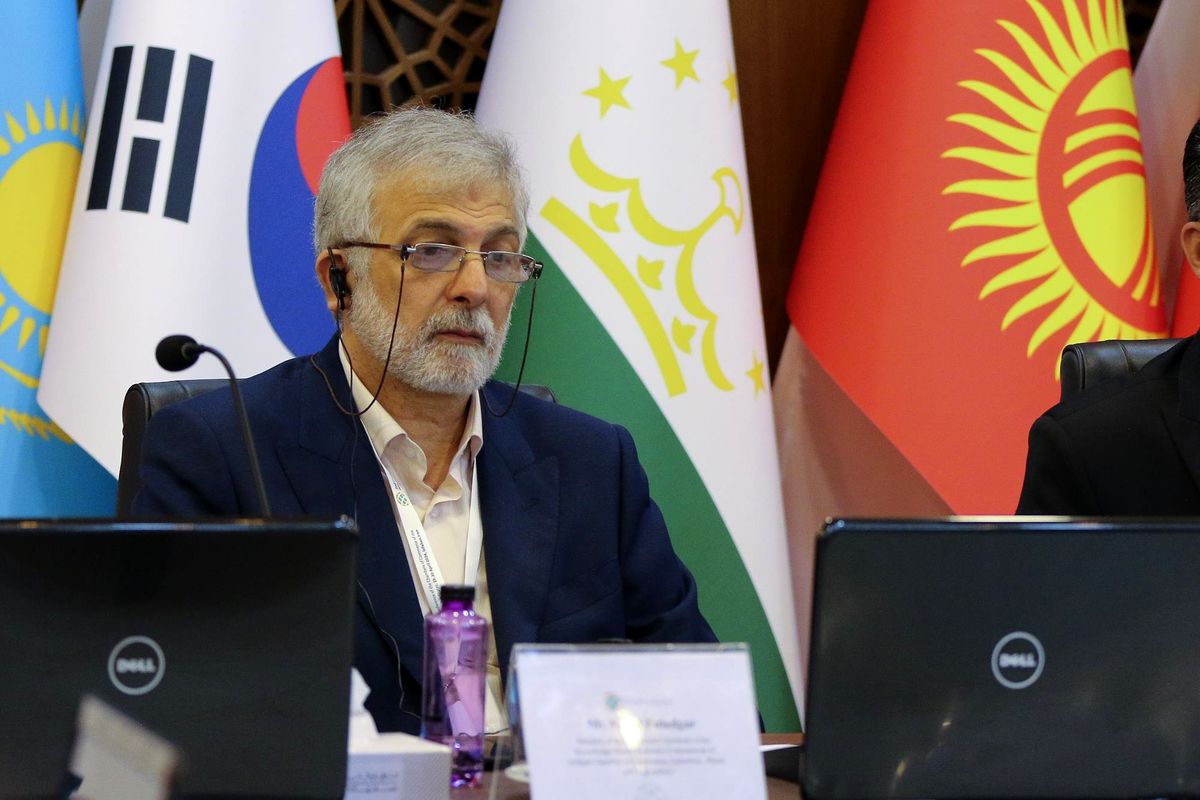 وحید فولادگر