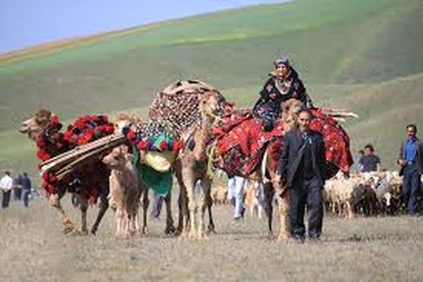 سامانه خدمات الکترونیکی عشایر تا ۲۲ بهمن راه‌اندازی می‌شود