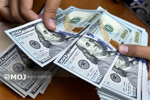 جدیدترین قیمت ارزها در بازار آزاد امروز ۱۸ مرداد ۱۴۰۴