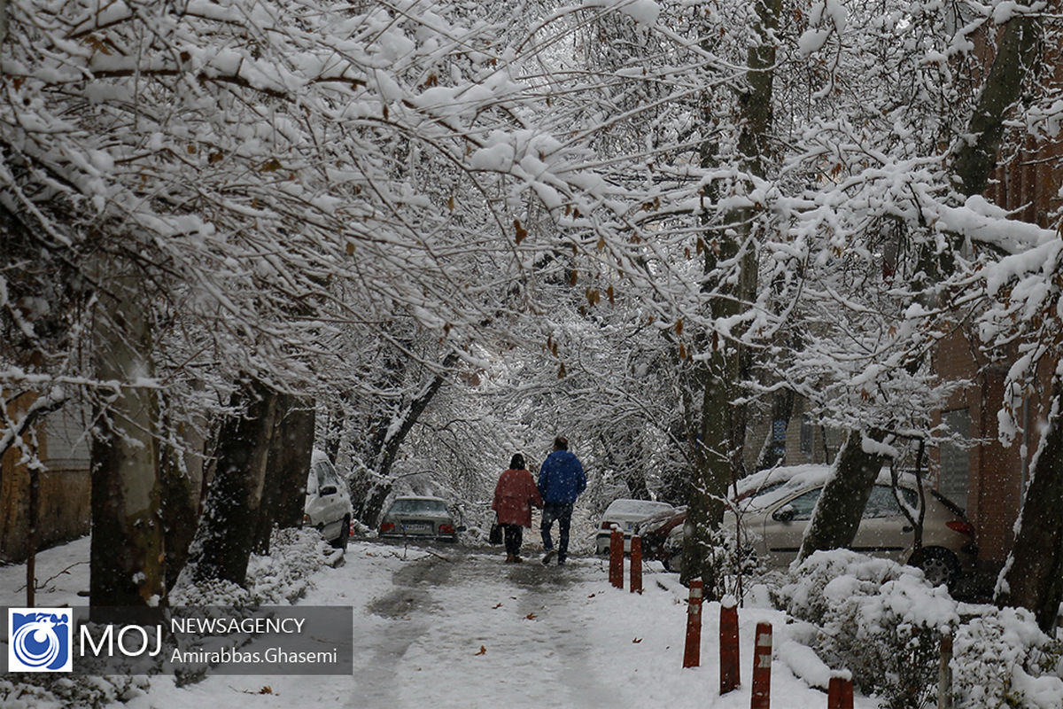 بارش برف زمستانی در تهران