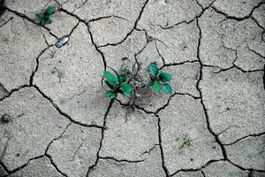 ترسیب کربن 13 ساله شد/ سرانه بیابان در کشور دو برابر میانگین جهانی