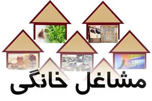 سامانه خرید و ارسال محصولات مشاغل خانگی راه اندازی شد