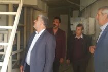 فعالیت۳۶ واحد تولیدی در قالب شرکت تعاونی مرغداران