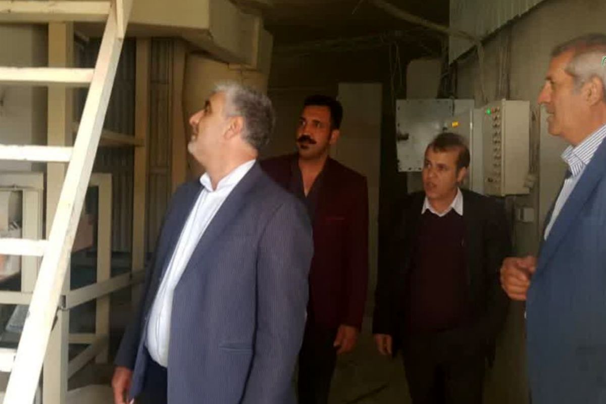 بازدید